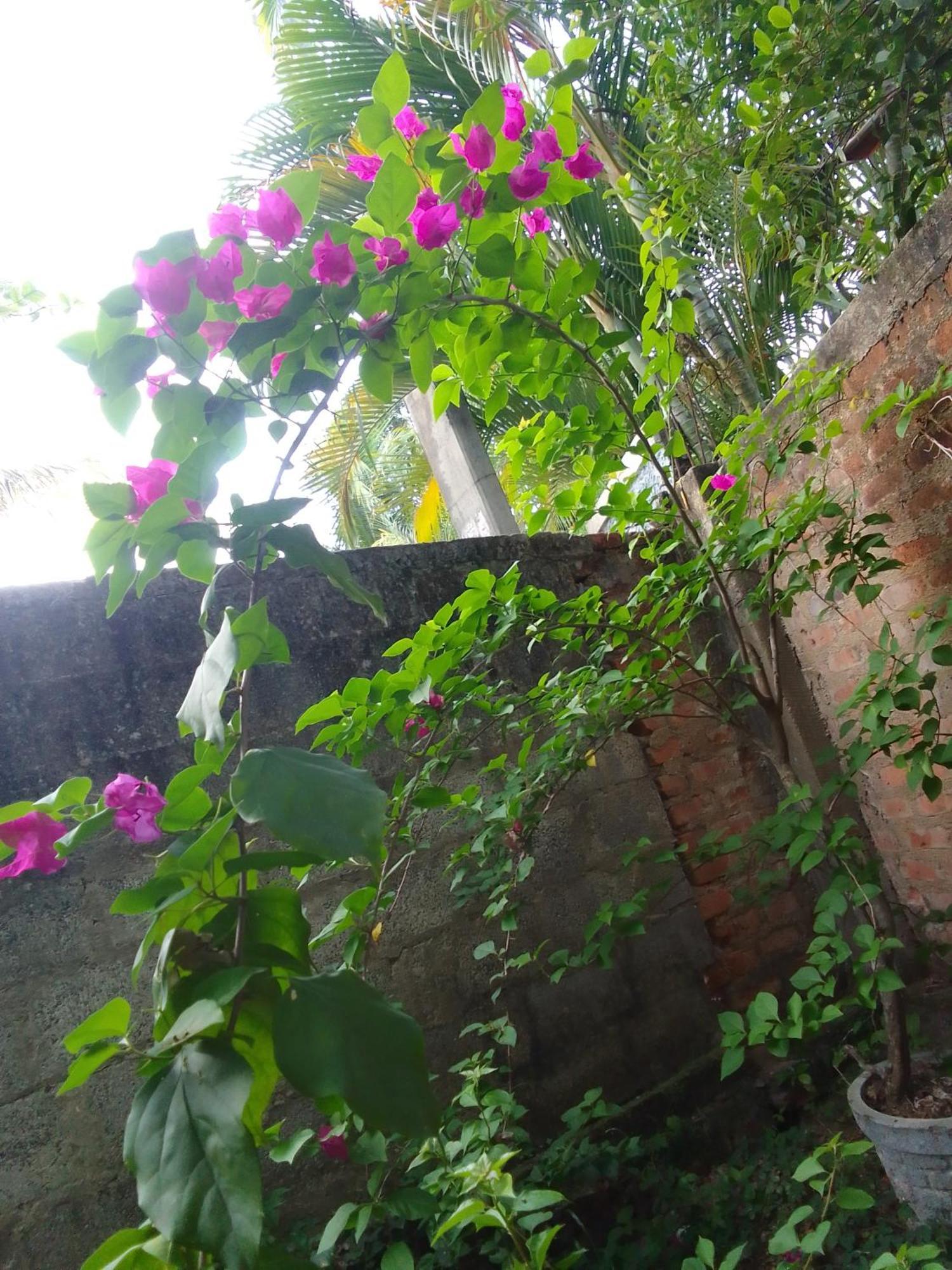 Tinu Homestay Mirissa Luaran gambar